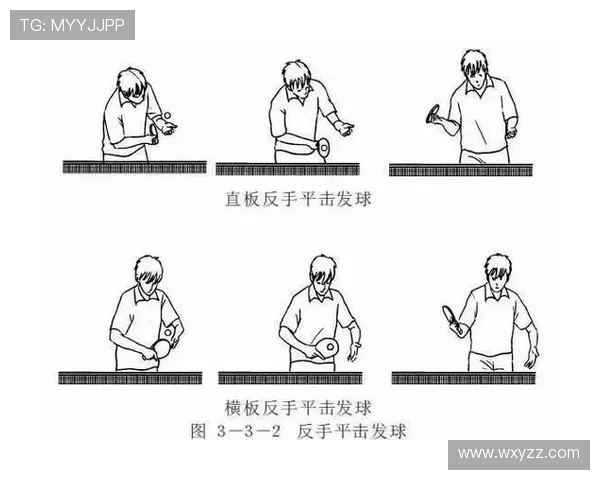 乒乓球的魅力与灵动：深入解析杭州乒乓球队的训练与战术创新