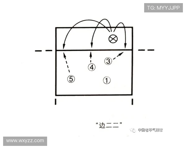 北京排球队反击战术解析与未来发展展望