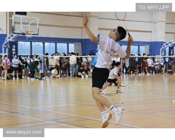 羽毛球盛宴：深入解析上海羽毛球队的比赛策略与经验分享