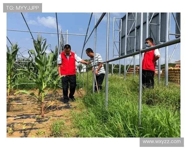 九台农商银行深化金融服务提升区域经济发展助力乡村振兴战略实施