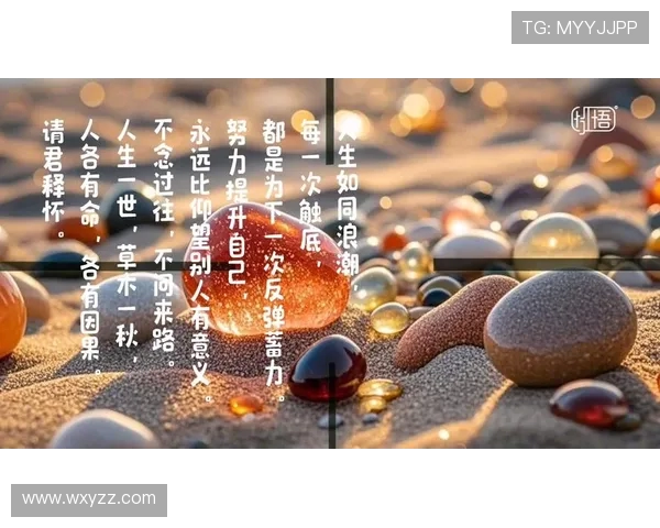 张昊：从平凡到卓越的奋斗历程与人生感悟分享